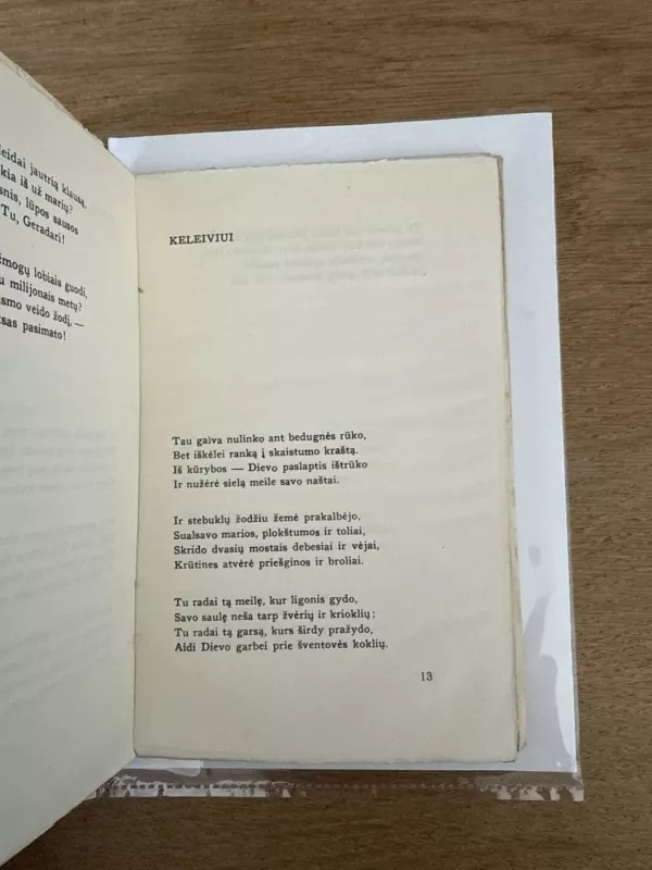 Piligrimai - Faustas Kirša, knyga 4