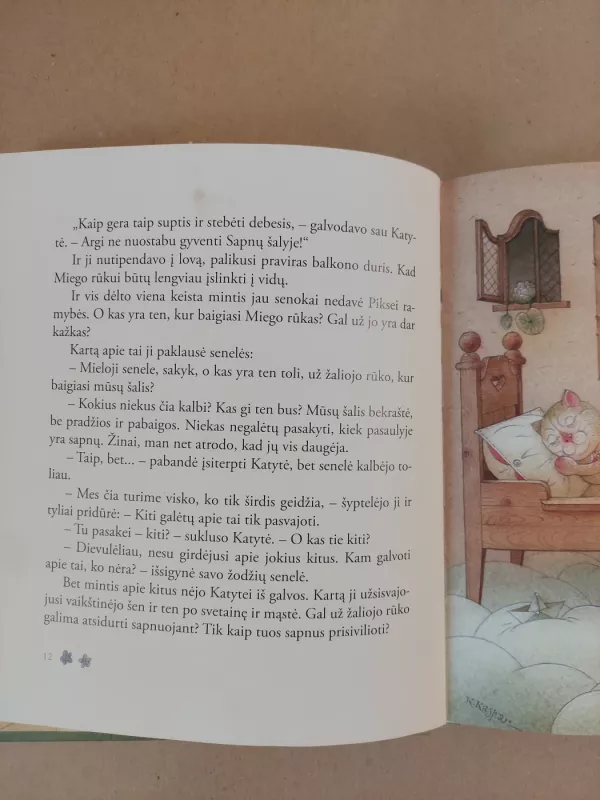 Sapnų katytė - Kęstutis Kasparavičius, knyga 4