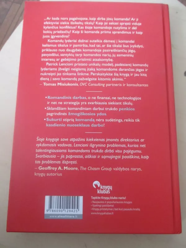 Svajonių komandos kūrimas: penkios komandos silpnybės ir būdai, kaip tai įveikti - Patrick Lencioni, knyga 4