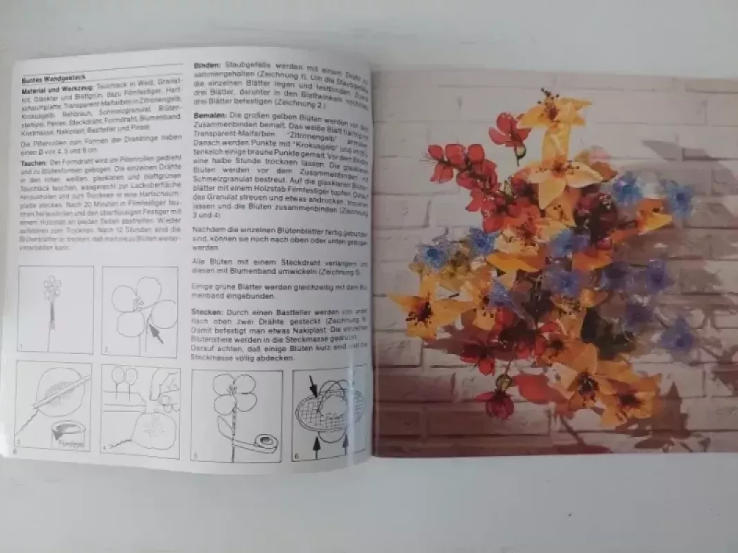 Tauch Lack - Gudrun Rode, knyga 3