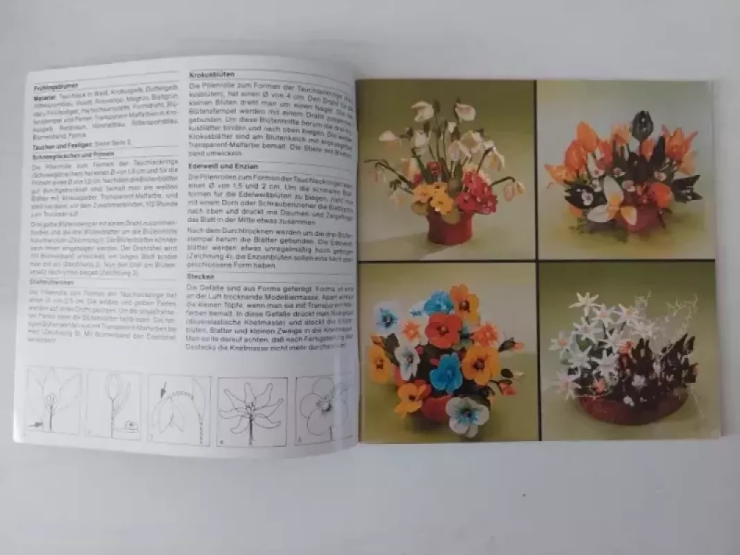 Tauch Lack - Gudrun Rode, knyga 5