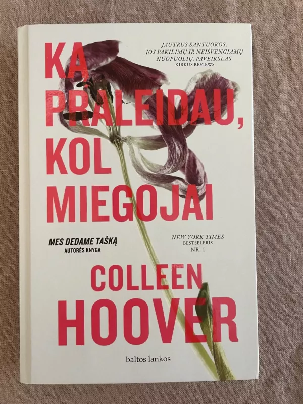 KĄ PRALEIDAU, KOL MIEGOJAI - Colleen Hoover, knyga 2