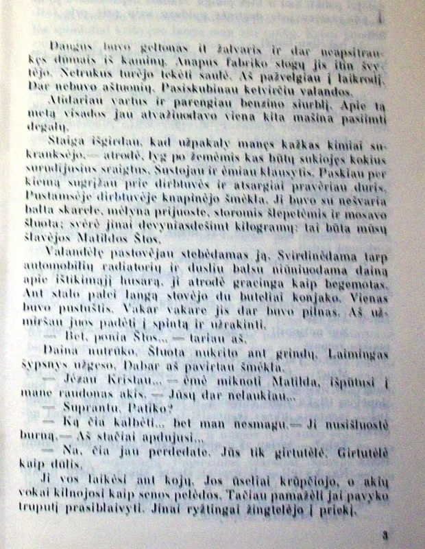 Trys draugai - Erichas Marija Remarkas, knyga 5