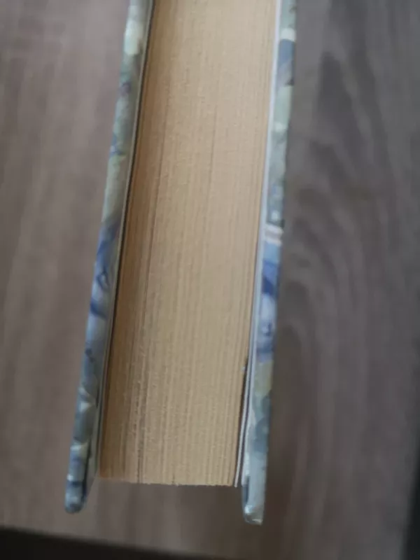 Feliksas finansininkas - Nikolaus Piper, knyga 4