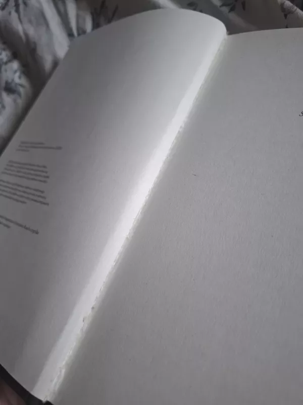 Mokytojas - Karolis Klimas, knyga 4