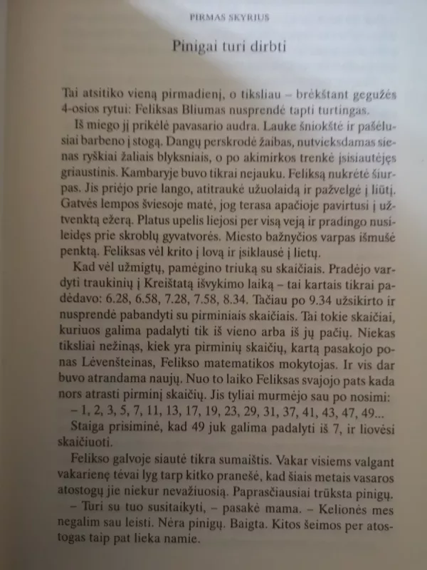 Feliksas finansininkas - Nikolaus Piper, knyga 5