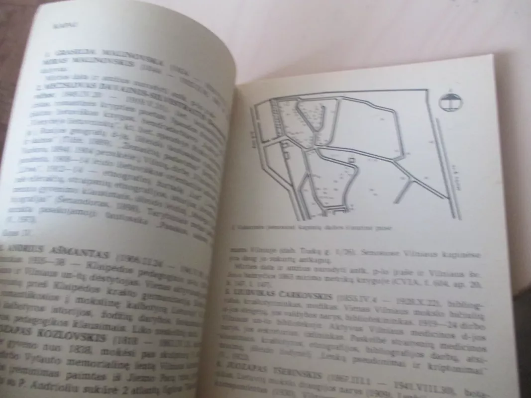 Rasos - V. Girininkienė, A.  Paulauskas, knyga 3