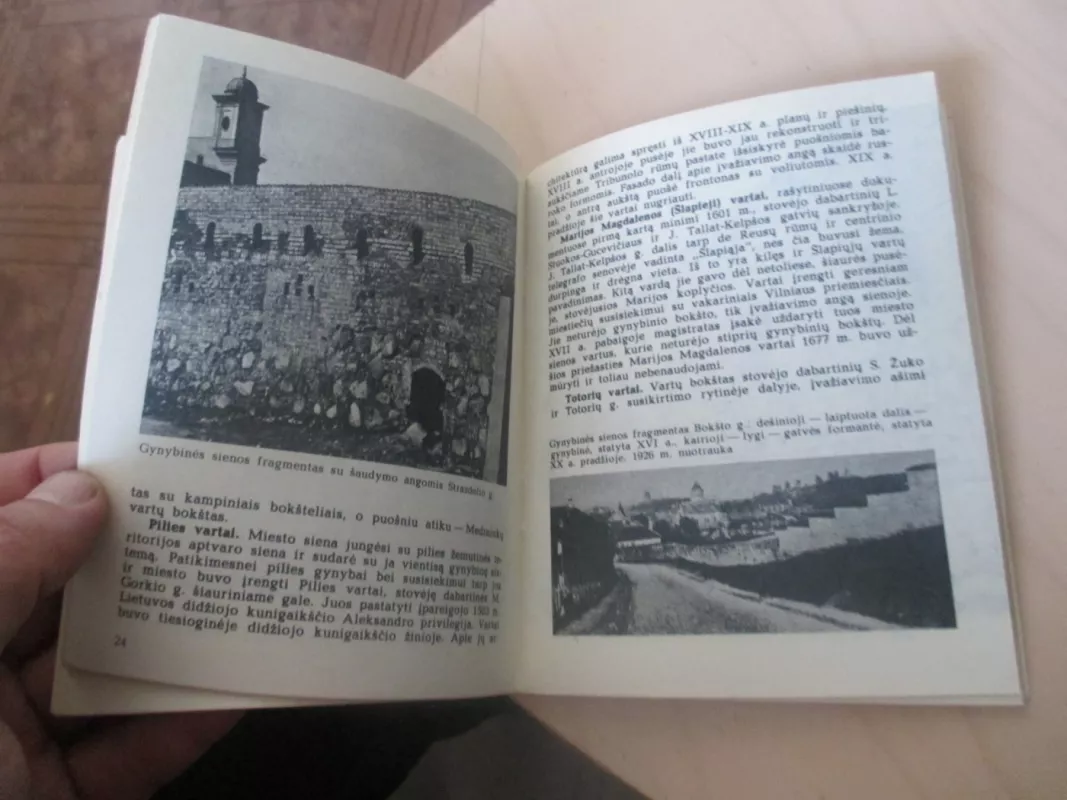 Vilniaus miesto gynybinė siena - I. Jučienė, V.  Levandauskas, knyga 6