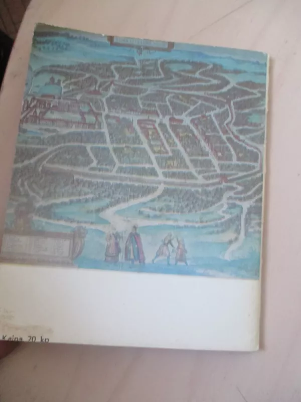 Vilniaus miesto gynybinė siena - I. Jučienė, V.  Levandauskas, knyga 5