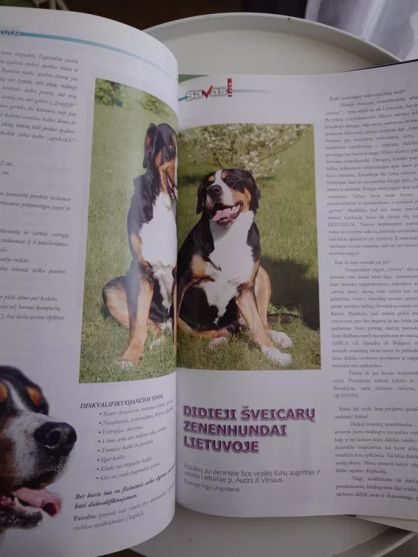 Savas šuo - Autorių kolektyvas (įvairūs), knyga 6