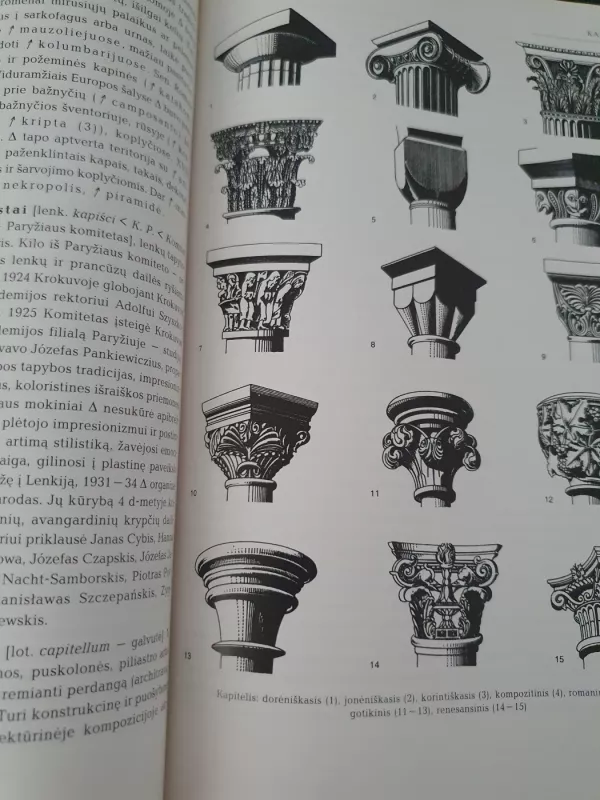 Dailės žodynas - Autorių Kolektyvas, knyga 5