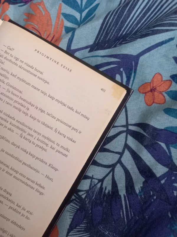 Prigimtinė teisė - Nora Roberts, knyga 6