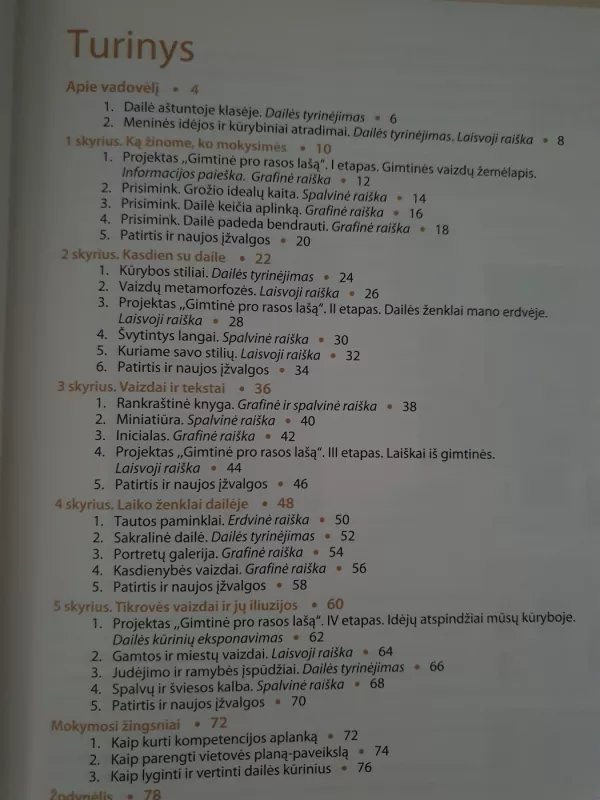 Dailė 8 vadovėlis - Irena Staknienė, Rima Tuinylaitė, knyga 3