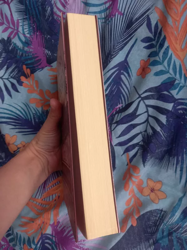 Juodoji Ragana - Nora Roberts, knyga 3