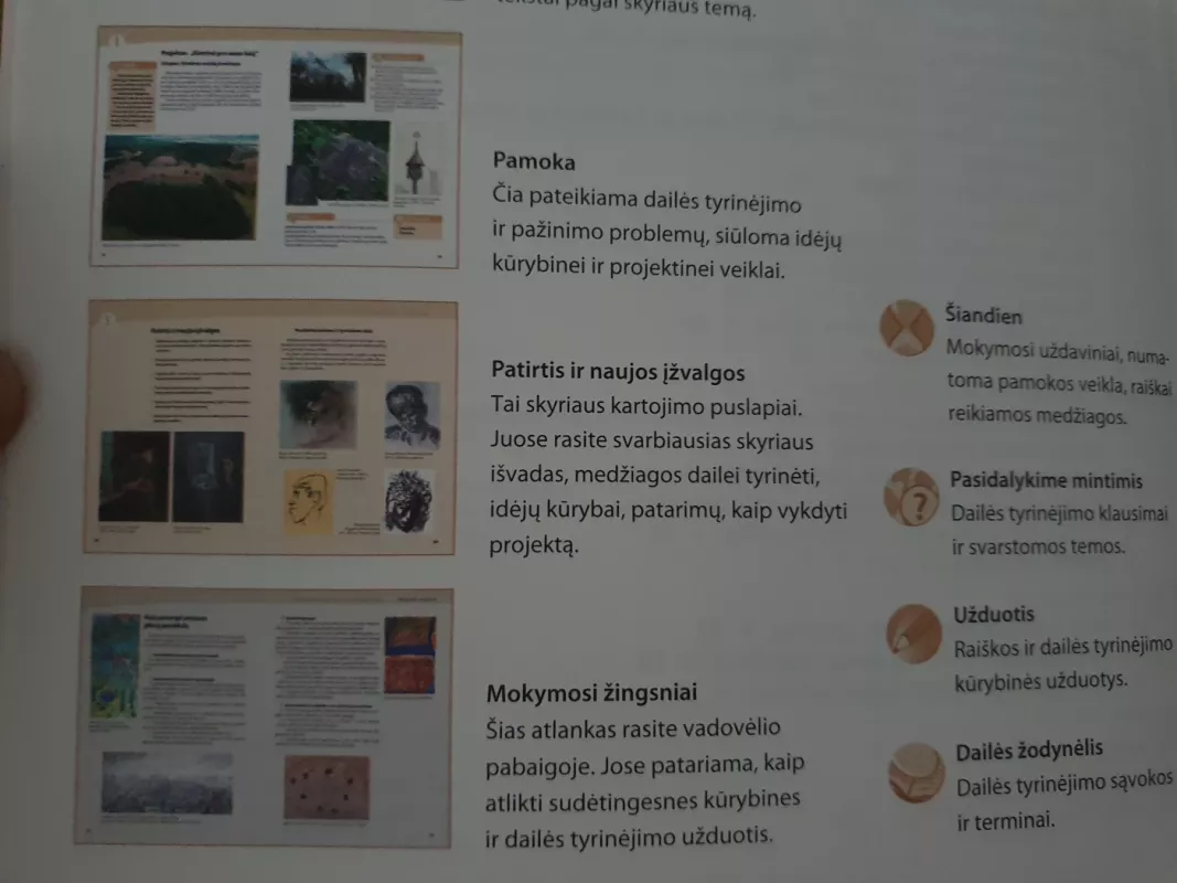 Dailė 8 vadovėlis - Irena Staknienė, Rima Tuinylaitė, knyga 6