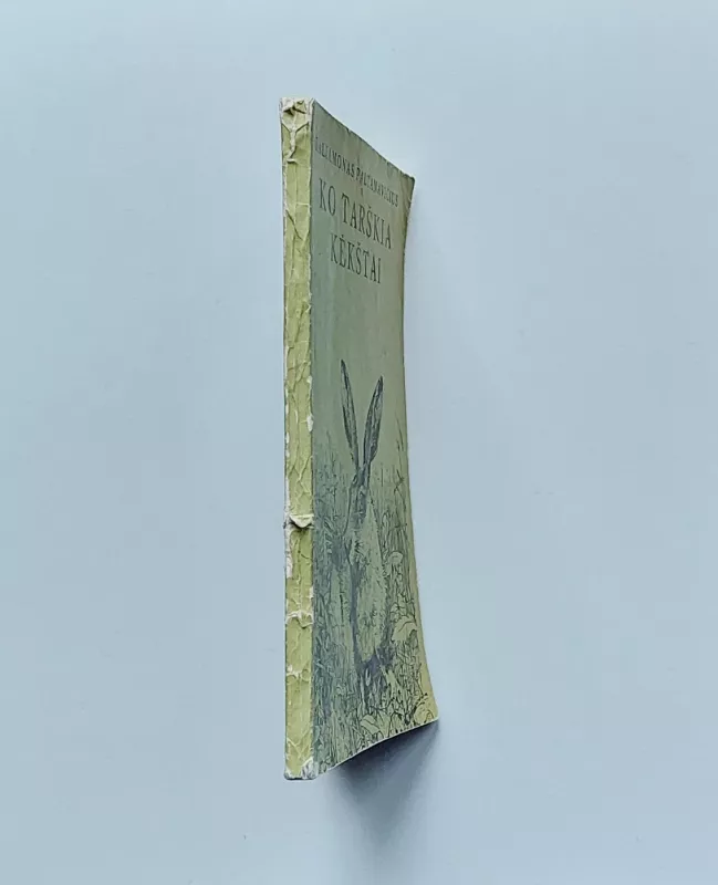 Ko tarškia kėkštai - Saliamonas Paltanavičius, knyga 3