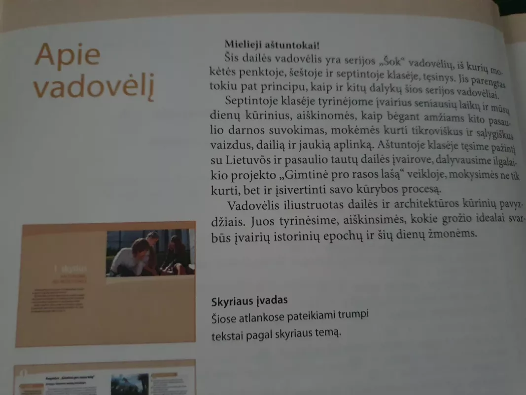 Dailė 8 vadovėlis - Irena Staknienė, Rima Tuinylaitė, knyga 4