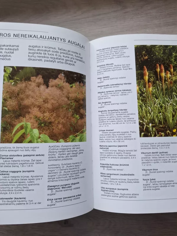 Sodininko vadovas - Peter McHoy, knyga 3