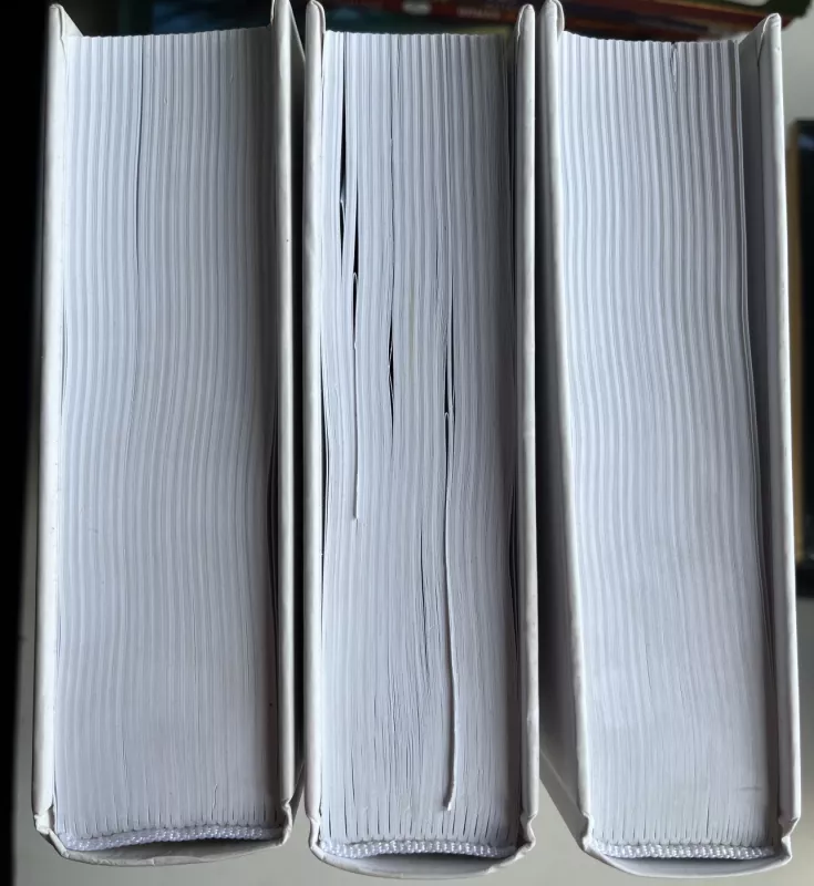 IŠMINTIES ŽODIS. II tomas - Tatjana Mikušina, knyga 3