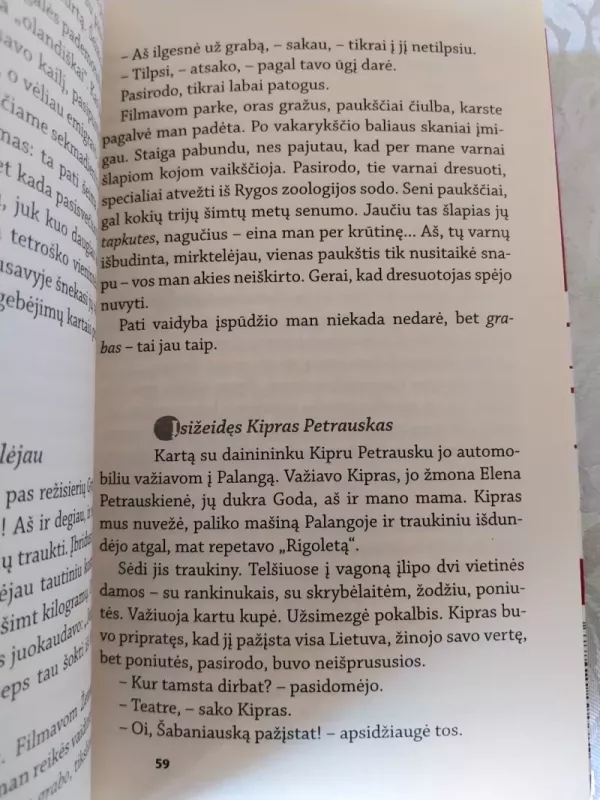 Aktoriai, režisieriai ir… Ko nematė žiūrovai (su) trauktinė - Nijolė Narmontaitė, knyga 4