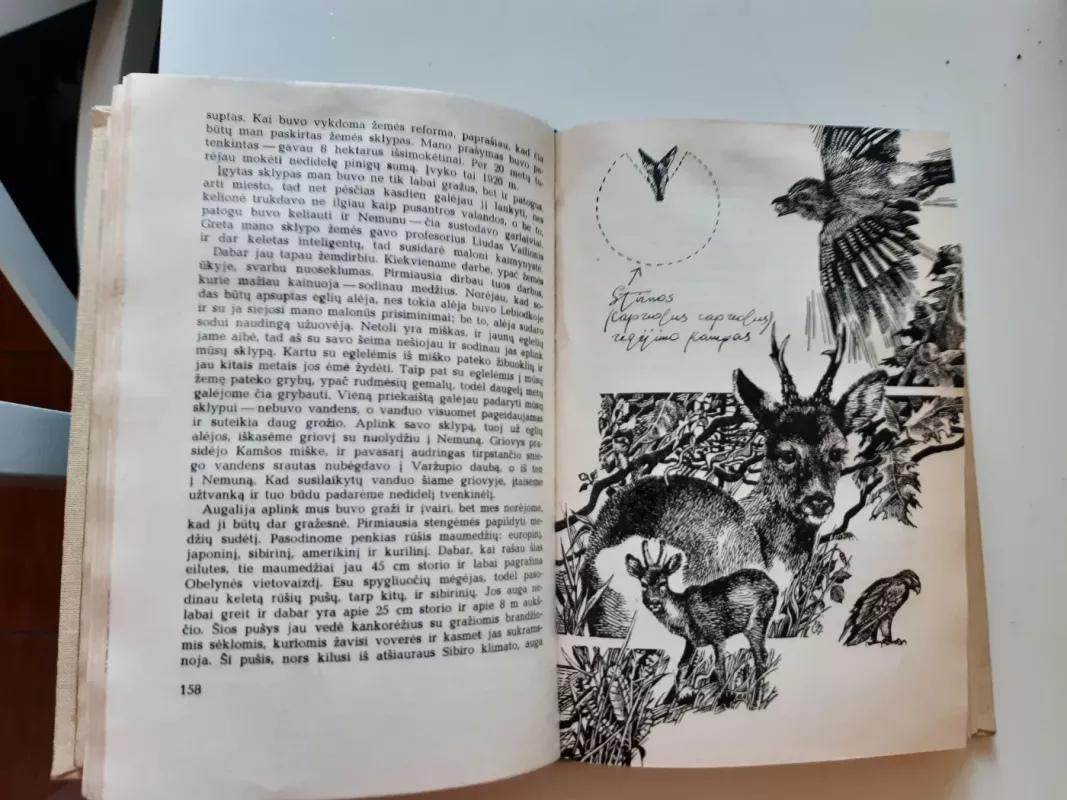 Gamtininko užrašai - Tadas Ivanauskas, knyga 4