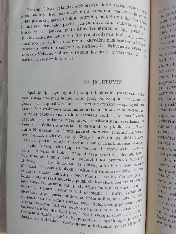 Voldenas, arba gyvenimas miške - Henris Deividas Toro, knyga 6