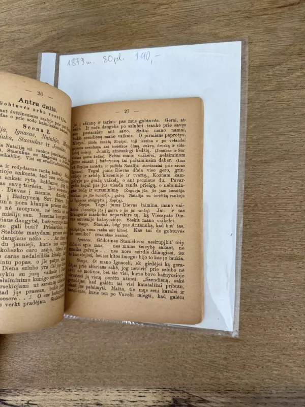 Veselijos arba Pagirėnų gobtuvės - Vytautas II, knyga 6