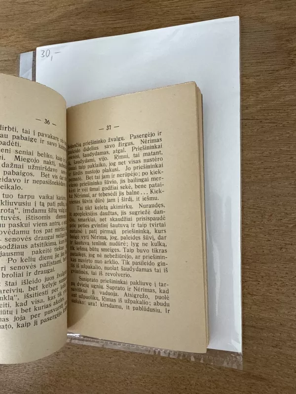 Rimai ir nerimai. Ponas direktorius -  Vaižgantas, knyga 5