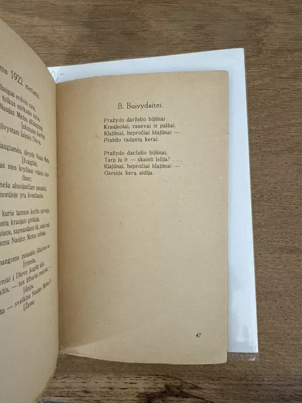 Traukinys 1923m. - Juozas Tysliava, knyga 6