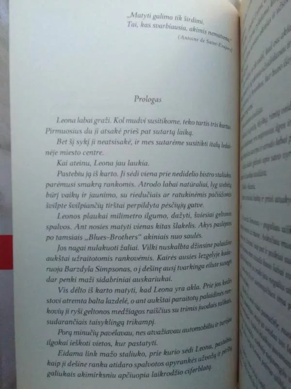 Užgesęs žvilgsnis - Jana Frey, knyga 4