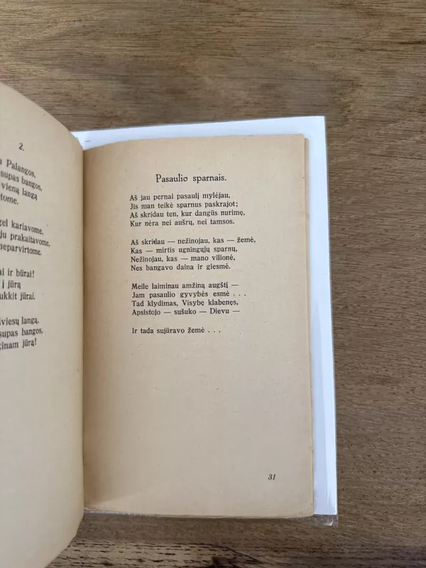 Traukinys 1923m. - Juozas Tysliava, knyga 5