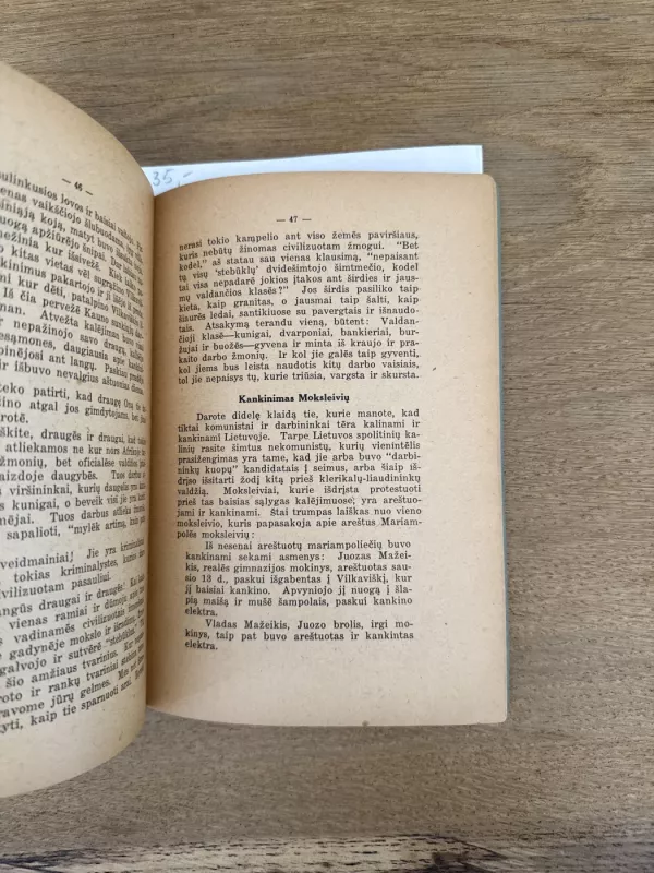 Lietuvos Respublika ir jos ateitis - Antanas Bimba, knyga 5