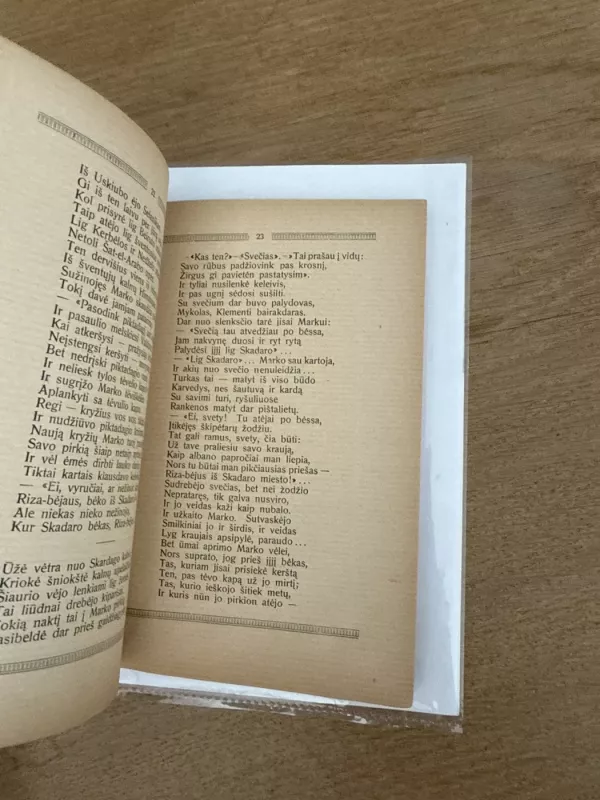 Tėvynės keliais - Liudas Gira, knyga 5