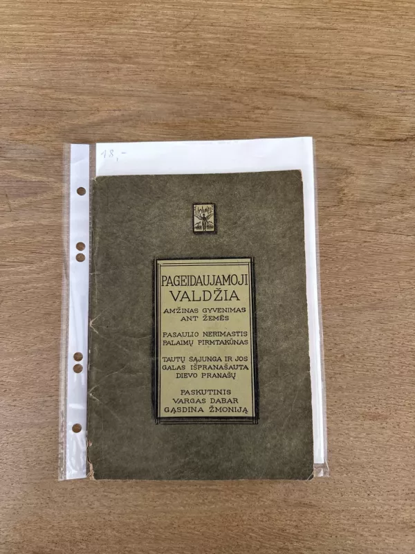 Pageidaujamoji Valdžia 1924 m. - J. F. Rutherford, knyga 2