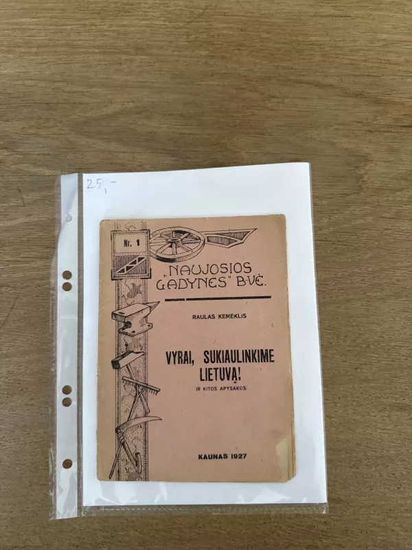 Vyrai, sukiaulinkime Lietuvą! ir kitos apysakos - Raulas Kemeklis, knyga 2