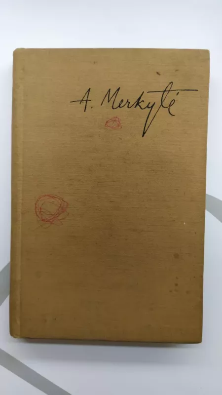 žingsniuojančiai jaunatvei - A.Merkytė (Lavėnos Liuda), knyga 4