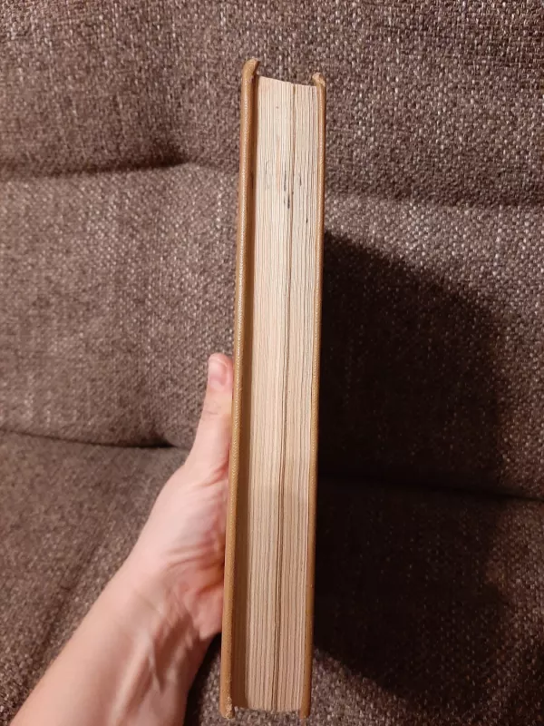 Trumpas aukštosios matematikos kursas - P. Rumšas, knyga 3