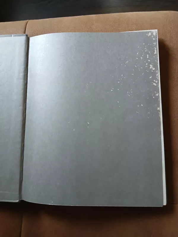 Susitikimai - Algimantas Kunčius, knyga 3