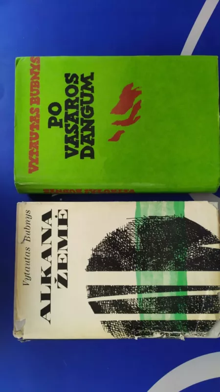 Alkana žemė - Vytautas Bubnys, knyga 2