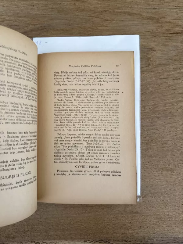 Pageidaujamoji Valdžia 1924 m. - J. F. Rutherford, knyga 6