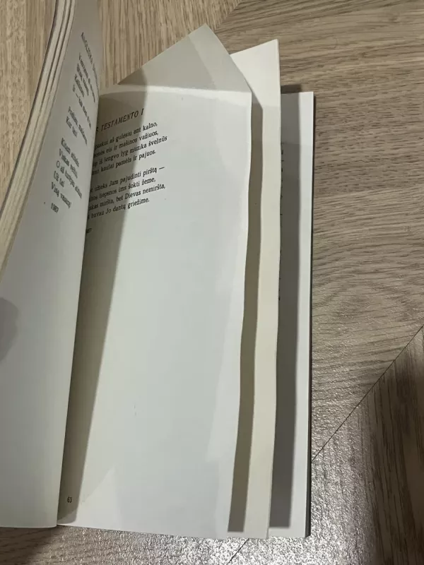 Septynių vasarų giesmės - Sigitas Geda, knyga 4