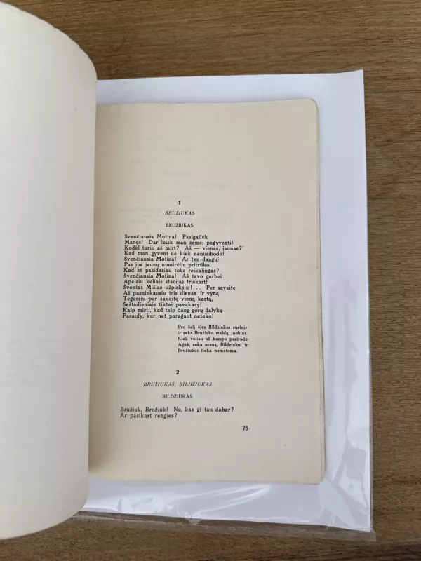 B.Sruoga Radvila perkūnas,1935 m - Balys Sruoga, knyga 6