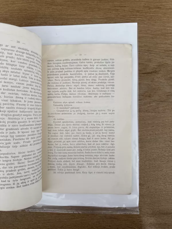 Aušrinės keliais 1915 m. - Autorių kolektyvas (įvairūs), knyga 5