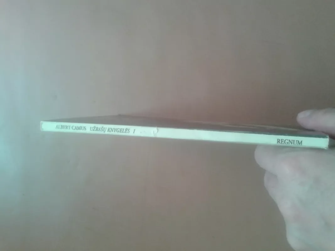 Užrašų knygelės (I dalis) - Albert Camus, knyga 3