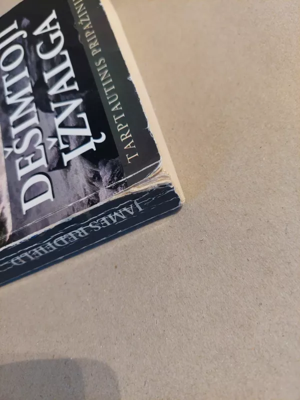 Dešimtoji įžvalga - James Redfield, knyga 3