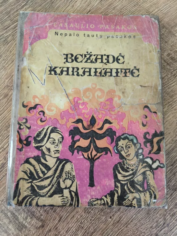 Bežadė karalaitė. Nepalo tautų pasakos - Autorių Kolektyvas, knyga 2