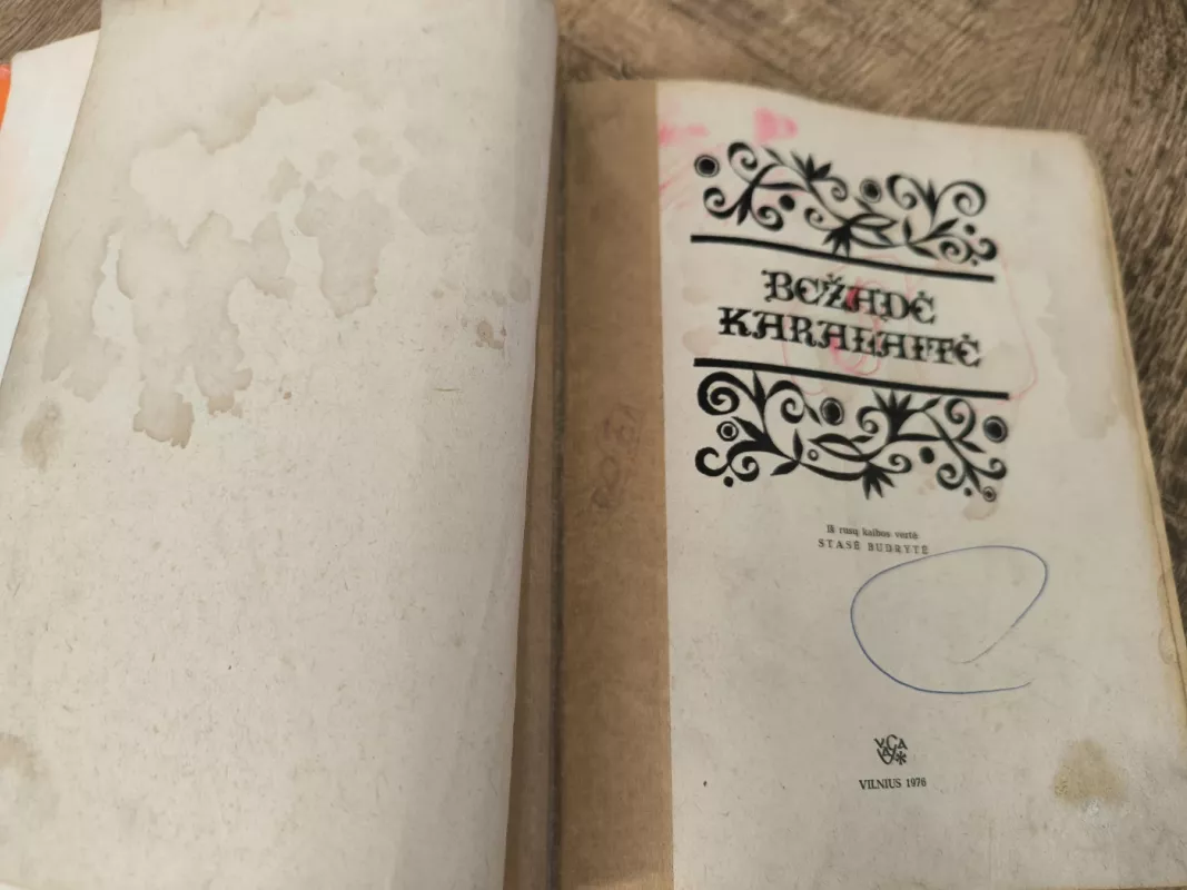 Bežadė karalaitė. Nepalo tautų pasakos - Autorių Kolektyvas, knyga 6