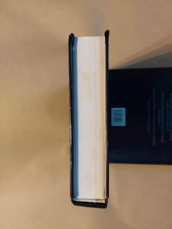 Sibiro vartai - Steponas Mickevičius, knyga 4