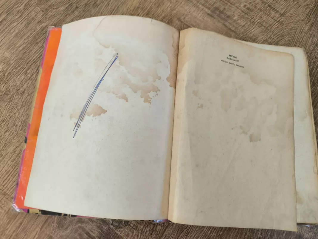 Bežadė karalaitė. Nepalo tautų pasakos - Autorių Kolektyvas, knyga 5