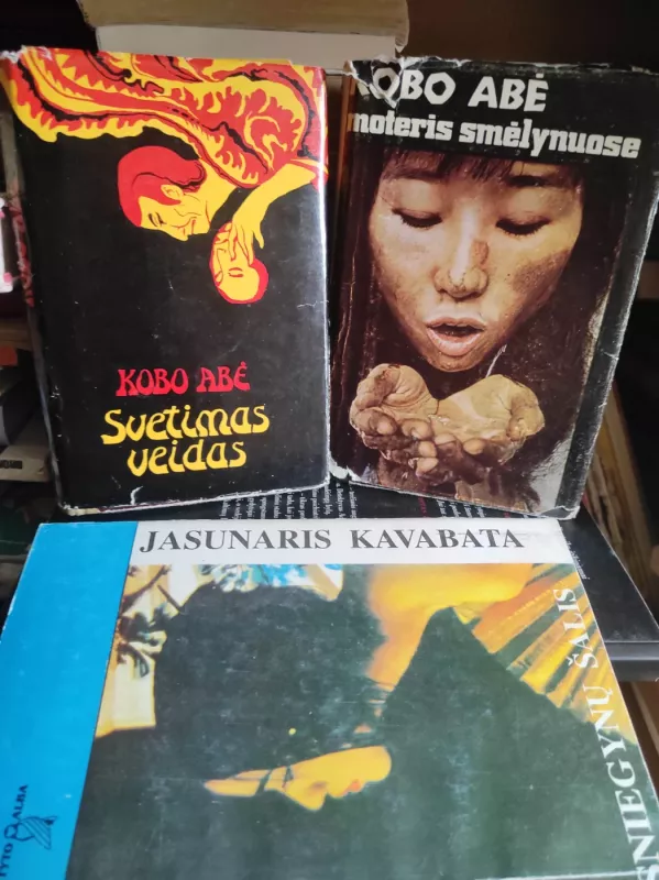 Moteris smėlynuose. Svetimas veidas - Kobas Abė, knyga 2